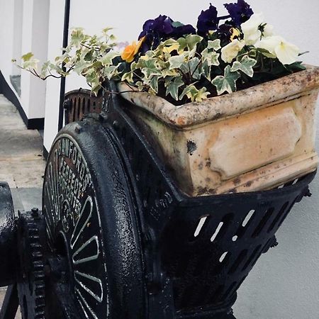 Ballinakill  Cartron House B&B 외부 사진