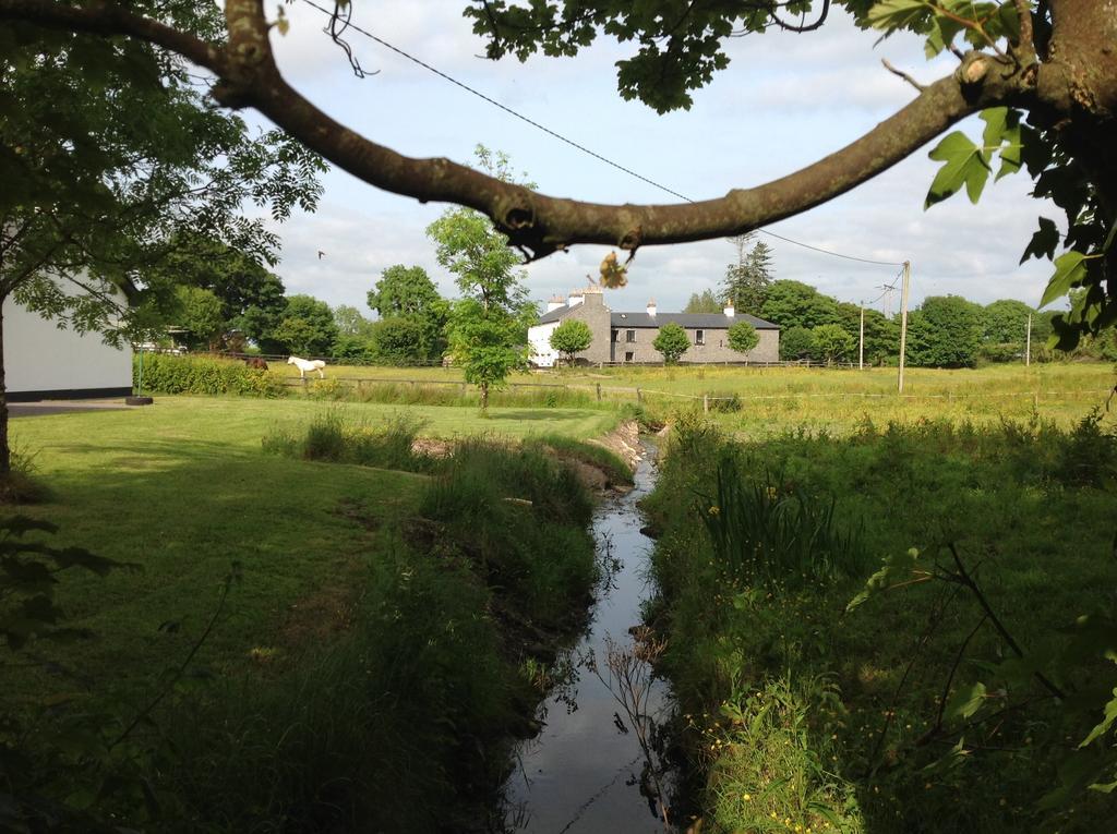 Ballinakill  Cartron House B&B 외부 사진