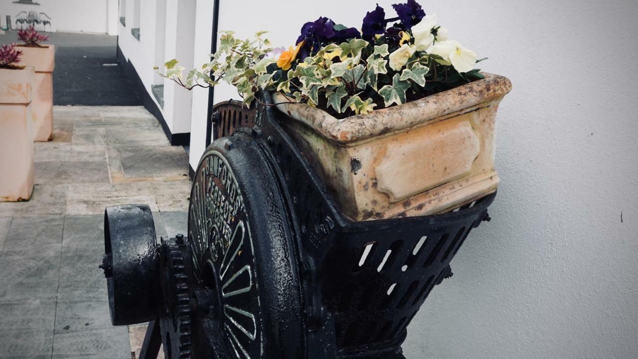 Ballinakill  Cartron House B&B 외부 사진