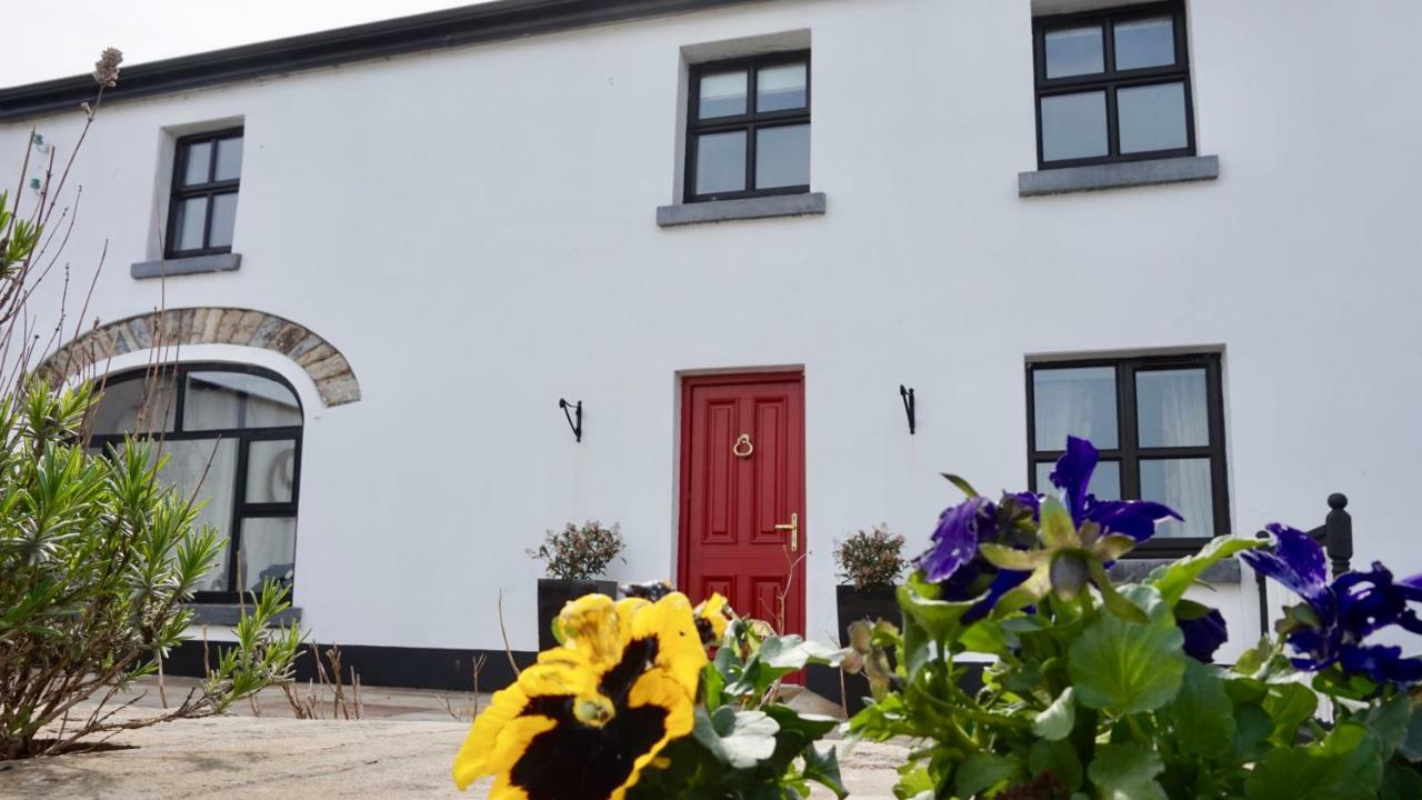 Ballinakill  Cartron House B&B 외부 사진